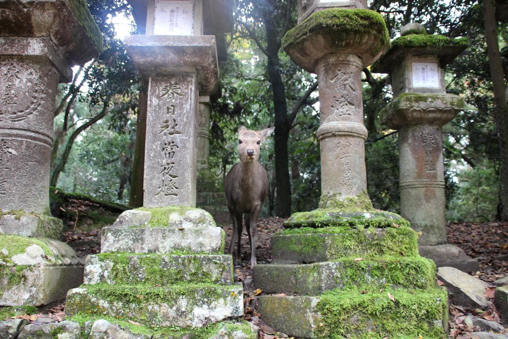 Отель Haruya Naramachi Экстерьер фото